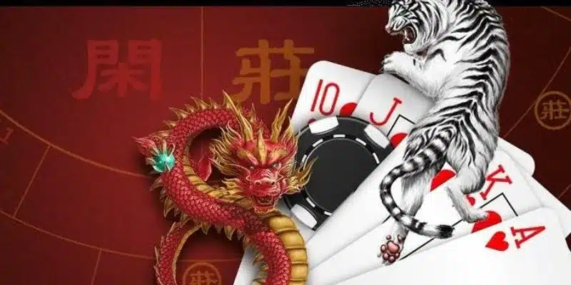 Hiểu rõ về rồng hổ 