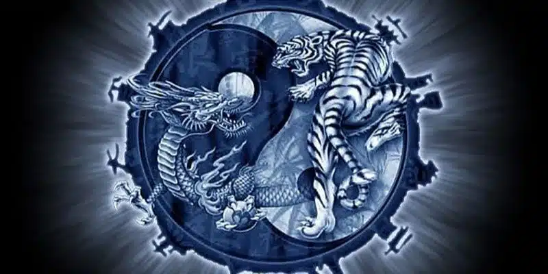 Chiến thuật đặt cược rồng hổ chỉ trong tích tắc 