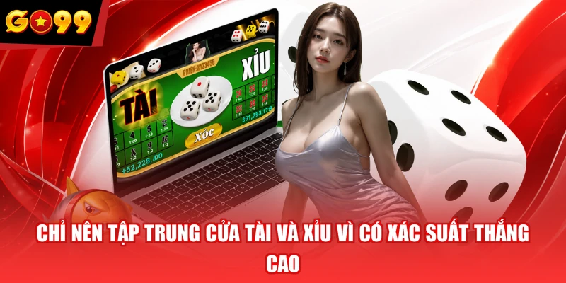 Chỉ nên tập trung cửa Tài và Xỉu vì có xác suất thắng cao